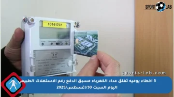 5 أخطاء يومية تغلق عداد الكهرباء مسبق الدفع رغم الاستهلاك الطبيعي اليوم السبت 30/أغسطس/2025